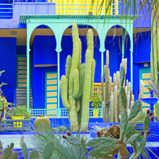 Majorelle garden in Marrakech